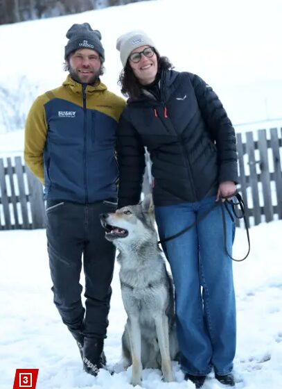 全世界で最も有名な「イヌ」!!